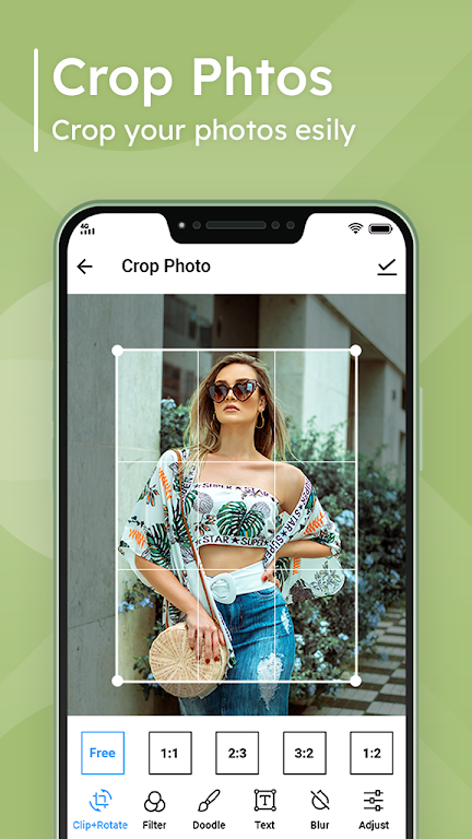 Gallery - photo gallery, album