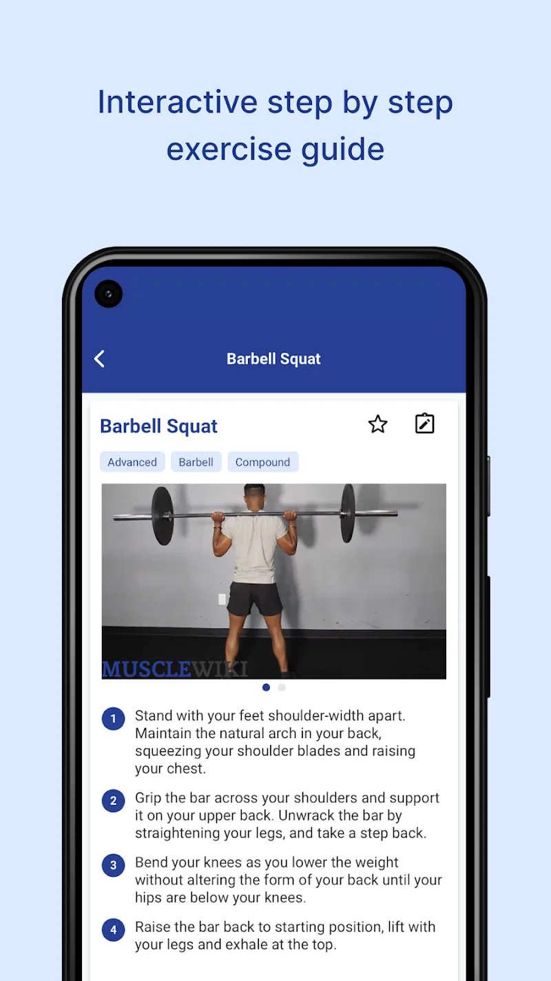 MuscleWiki: Workout & Fitness