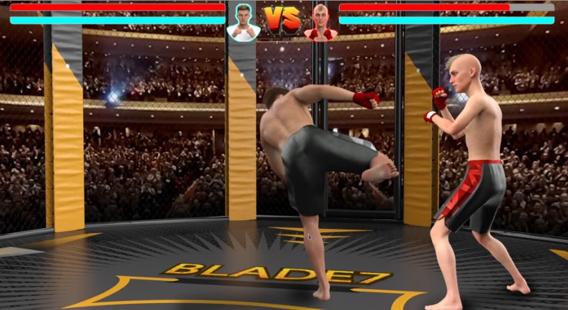 MMA Life Simulator