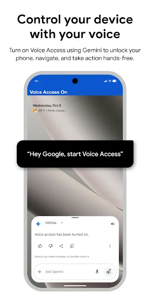 Google Voice Access Google Voice Access