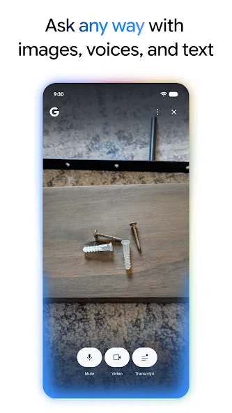 Google App Google App