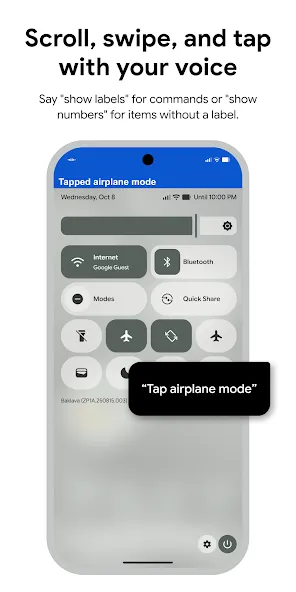 Google Voice Access Google Voice Access