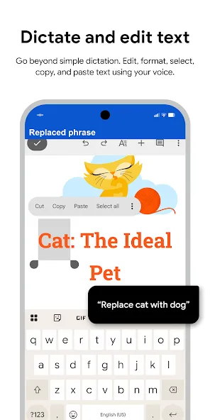 Google Voice Access