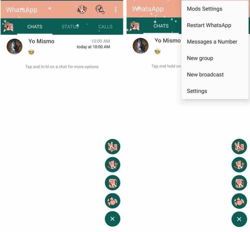 RAWhatsApp RAWhatsApp