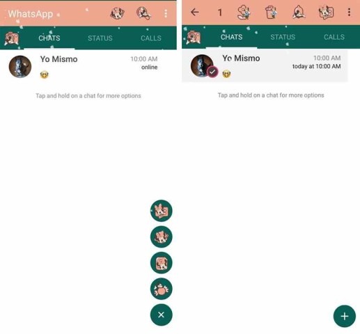 RAWhatsApp RAWhatsApp