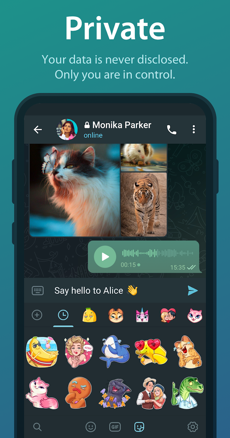 Telegram Telegram