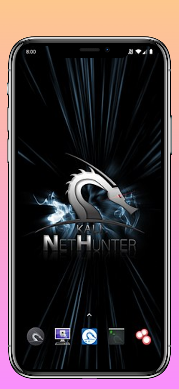 NetHunter