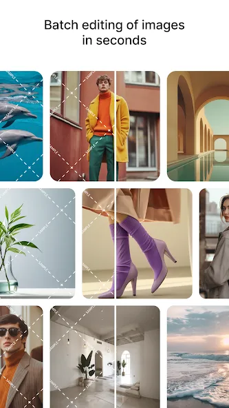 Watermarkremover.Io