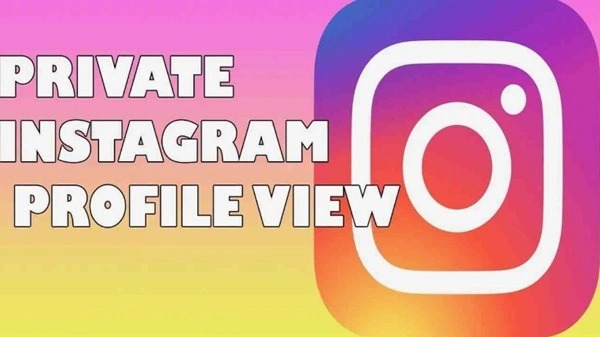 Insta Nice