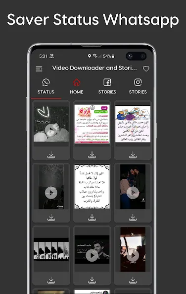 Video Downloader and Stories Video Downloader and Stories