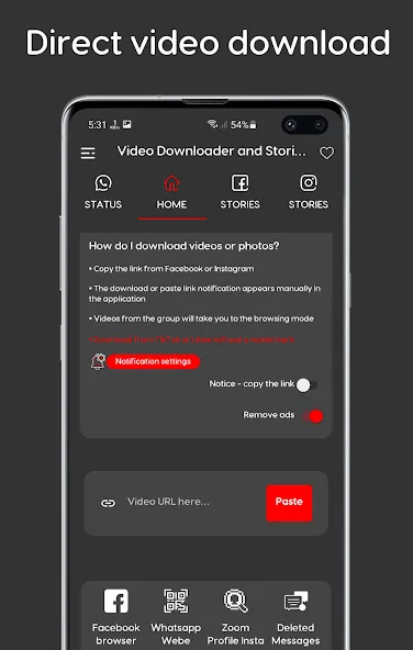 Video Downloader and Stories Video Downloader and Stories
