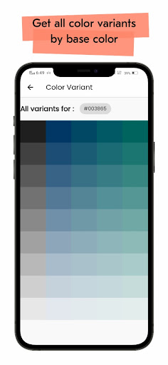 Color Hunt