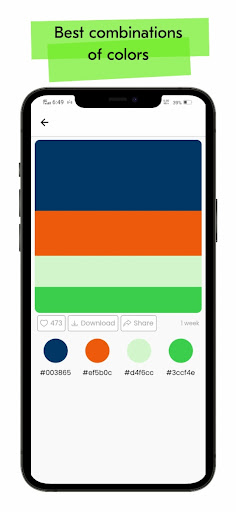 Color Hunt