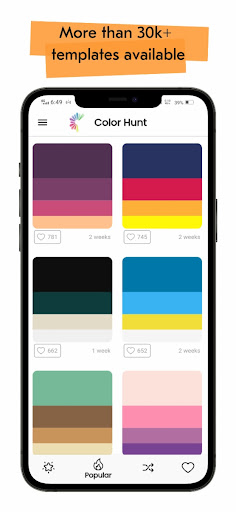 Color Hunt