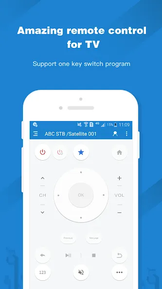Universal TV Remote