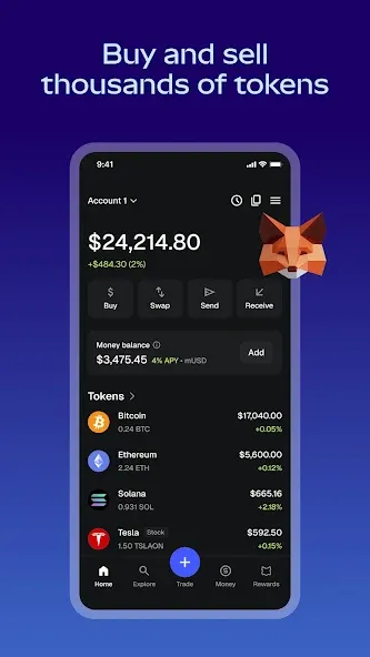 MetaMask MetaMask
