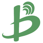 backchina.com