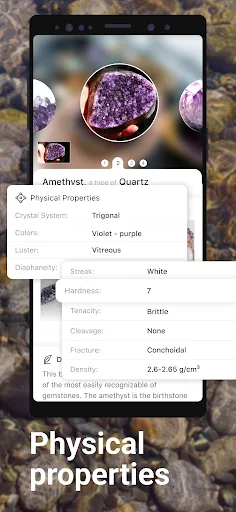 Rock Identifier