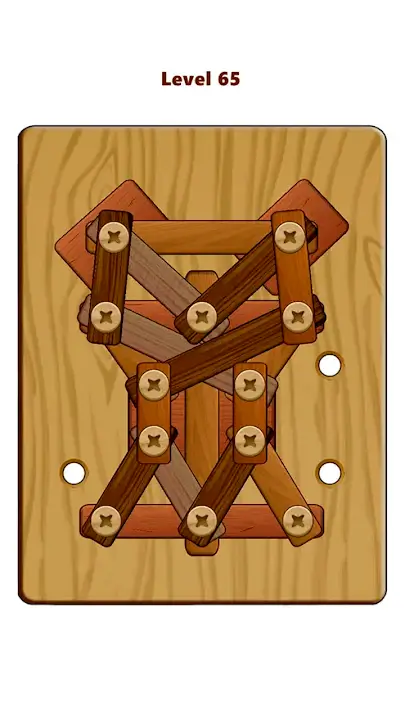 Screw Pin Puzzle