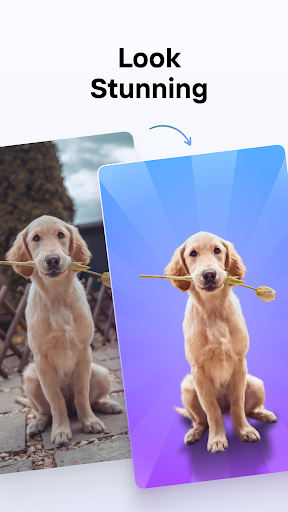 PhotoRoom Premium