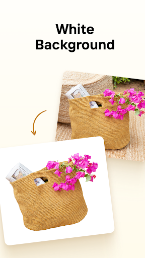 PhotoRoom Premium
