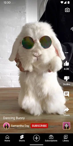 YouTube APK