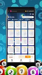 PulszBingo: Social Casino