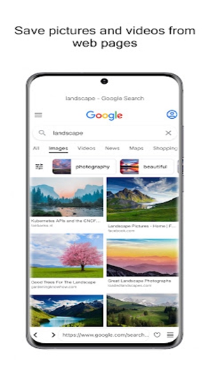 FetcherX Bookmarks (Tumblr Twitter video backup)