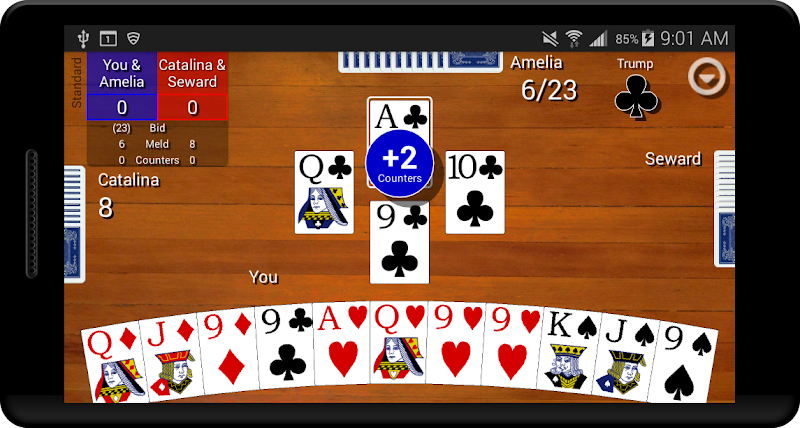 Pinochle Classic