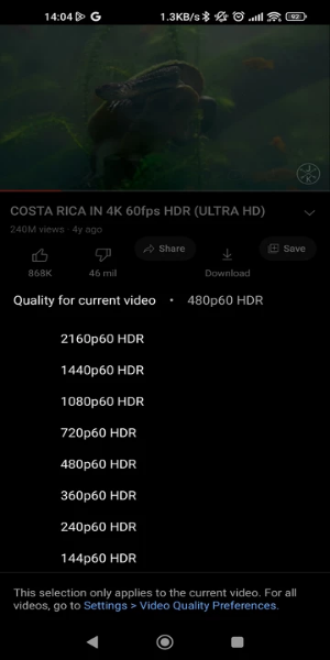 YouTube ReVanced Extended APK