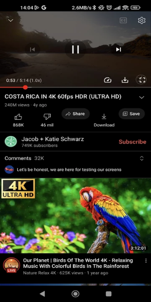 YouTube ReVanced Extended APK