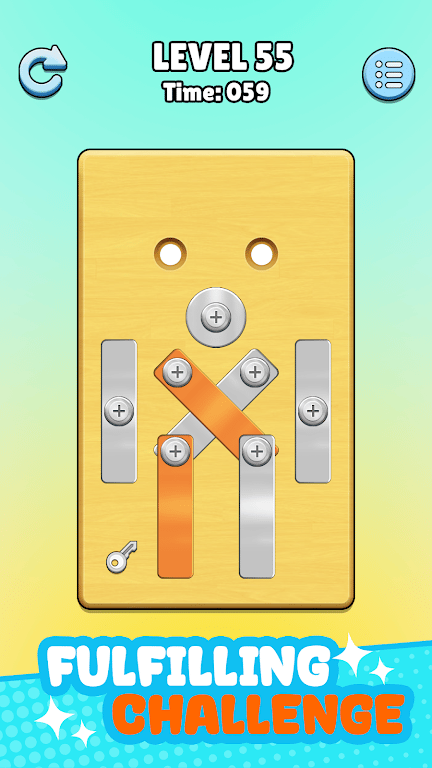 Screw Master: Pin Puzzle Mod