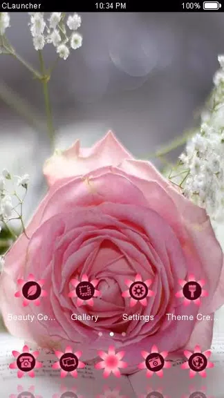 Pretty Pink Rose Theme Latest