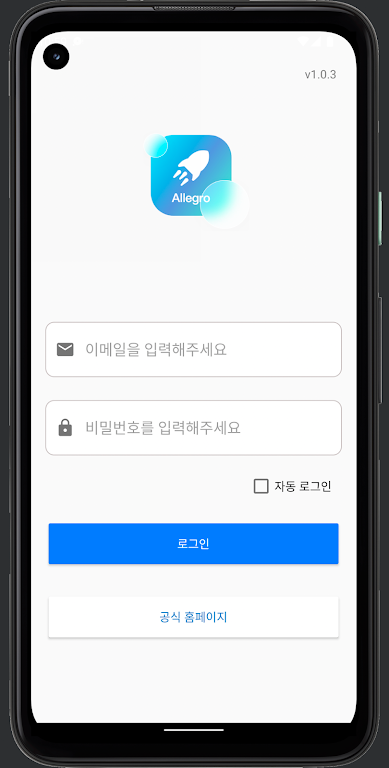 알레그로 VPN - Allegro VPN