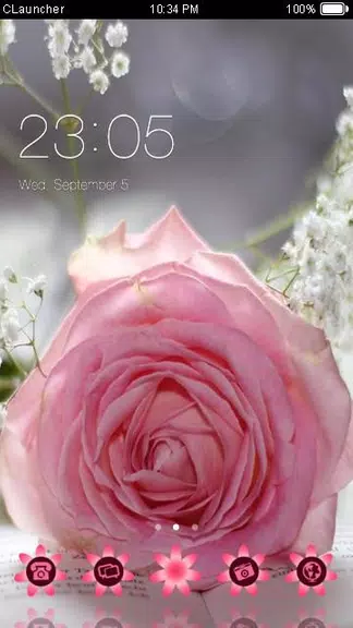 Pretty Pink Rose Theme Latest