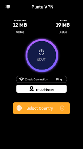 Puntu VPN