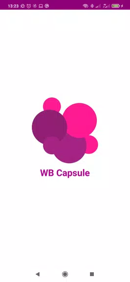 WB капсульный гардероб