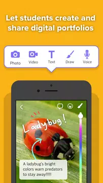 ClassDojo Free
