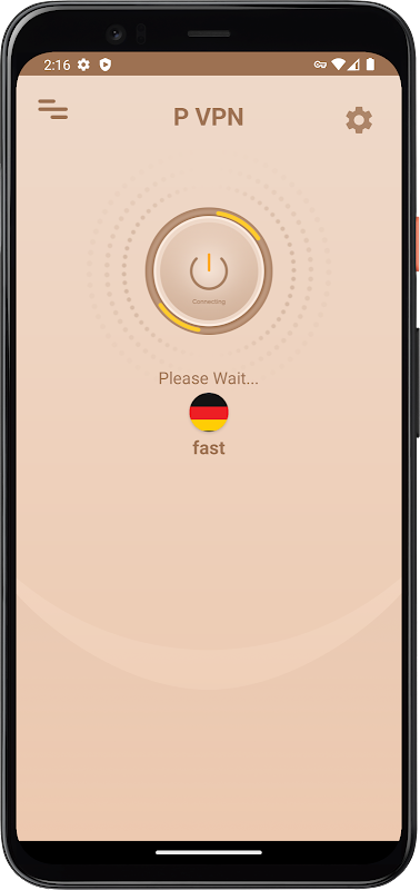 P VPN