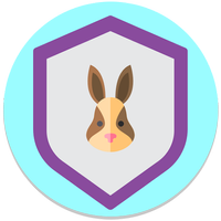 Bunny VPN