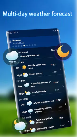 Local Weather Alerts - Widget