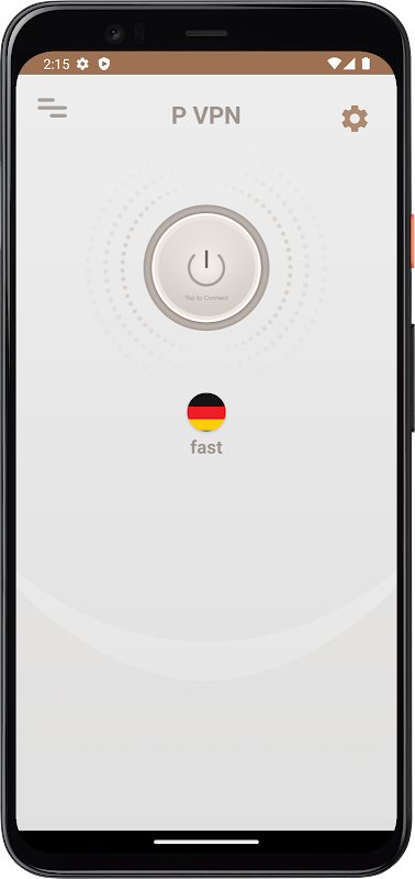 P VPN
