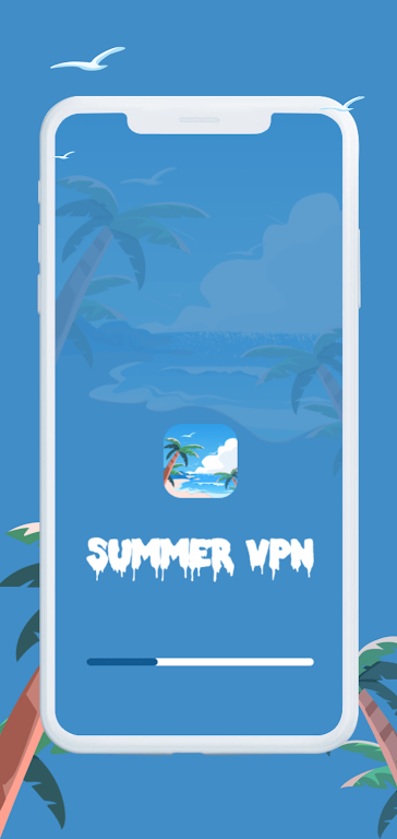 Summer VPN