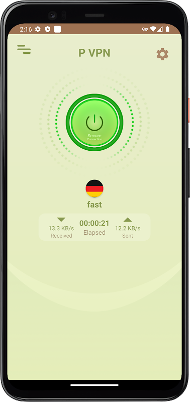 P VPN