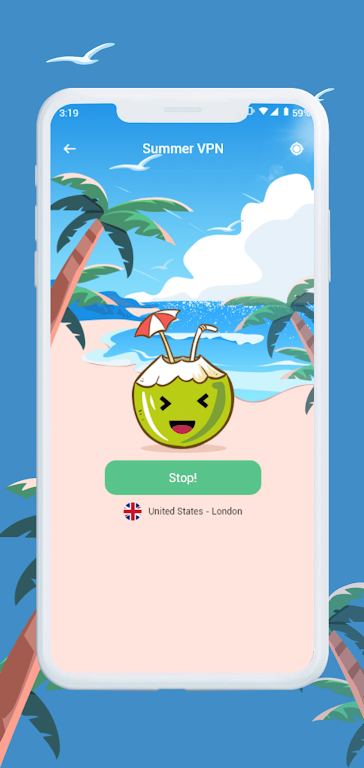 Summer VPN