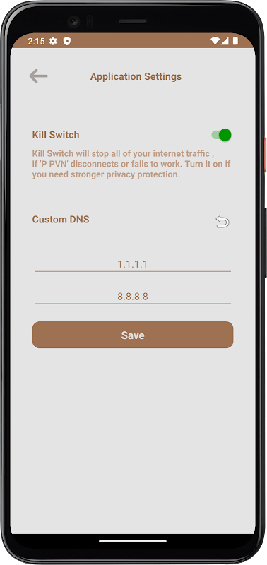 P VPN