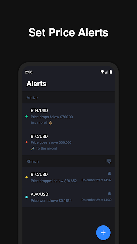 Hodler – Crypto Portfolio APK