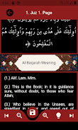 The Holy Quran and its Meaning