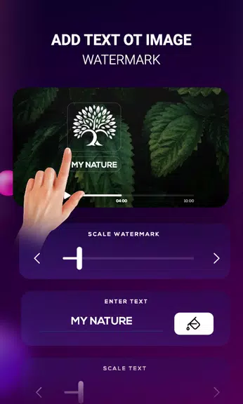 Video Watermark : Add/Erase