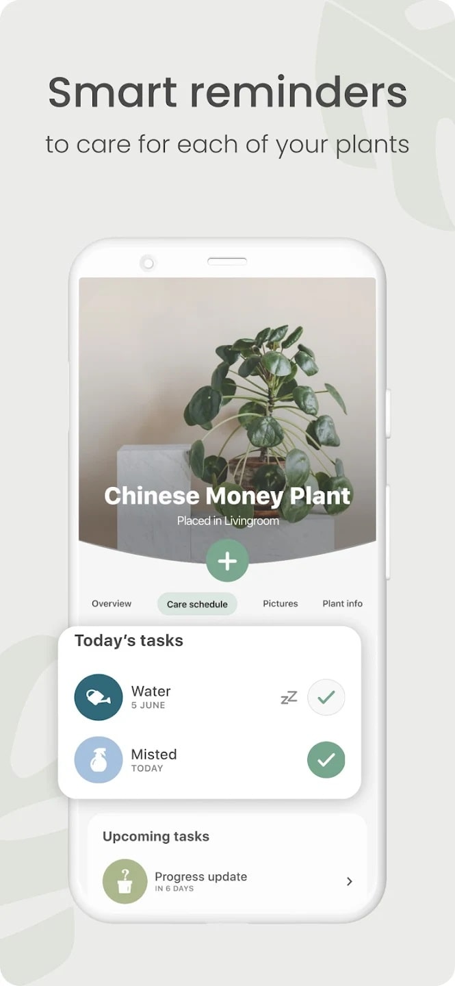 Planta